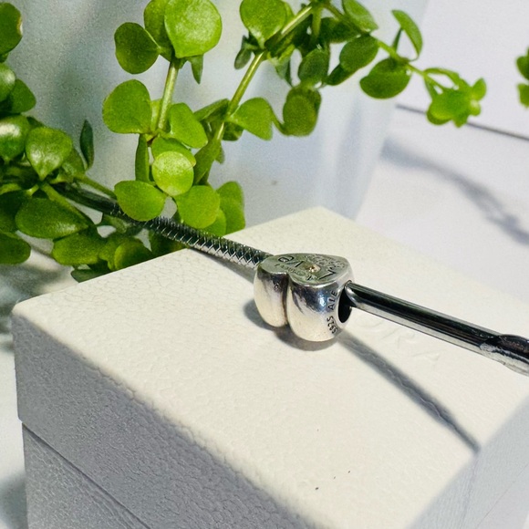 Authentic Retired Pandora ‘Heart of the Family’ Two-Tone Charm - Picture 7 of 11